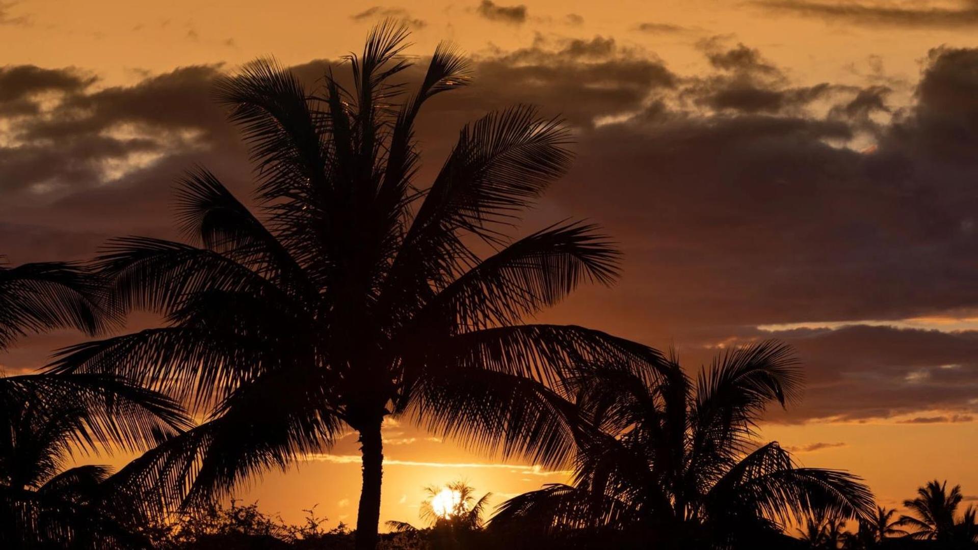 Big Island Oasis ~ Family Oasis Beach Gear Bikes Ping Pong Beach Club Included Villa Waikoloa Exterior photo